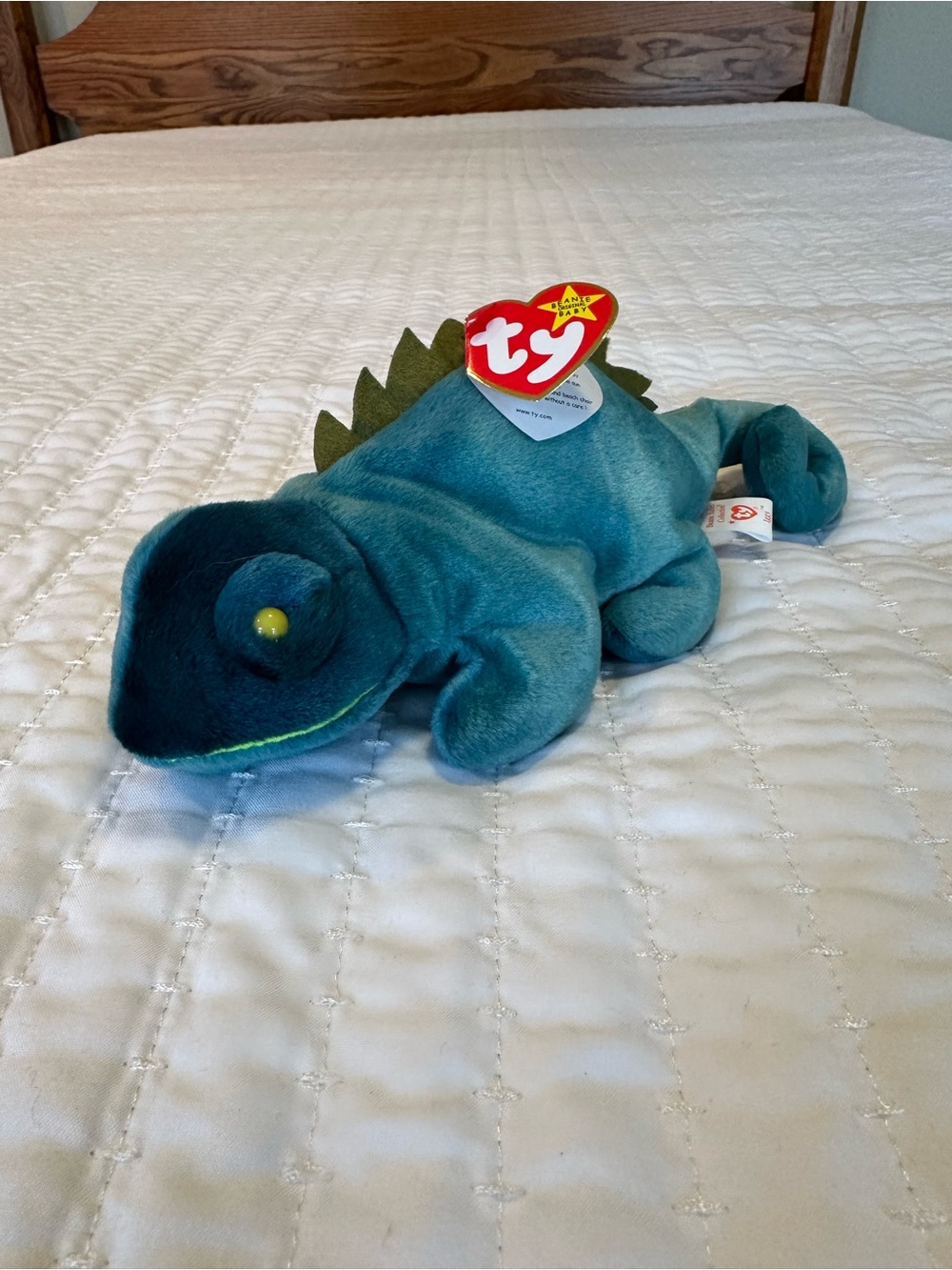 Iggy the Iguana Beanie Baby